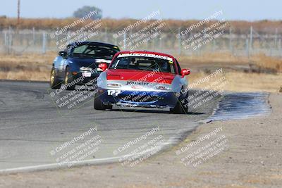 media/Nov-16-2024-CalClub SCCA (Sat) [[641f3b2761]]/Group 1/Star Mazda (Qual)/